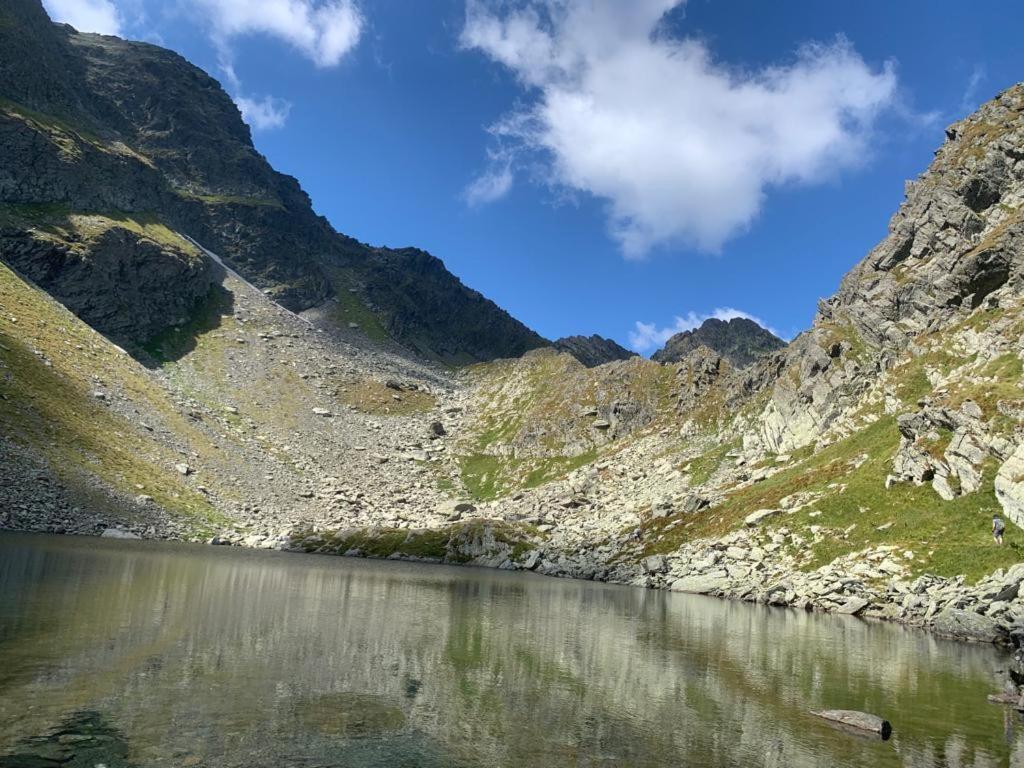 Ferienwohnung Casa Oaspeti Transfagarasan Cîrţişoara Exterior foto